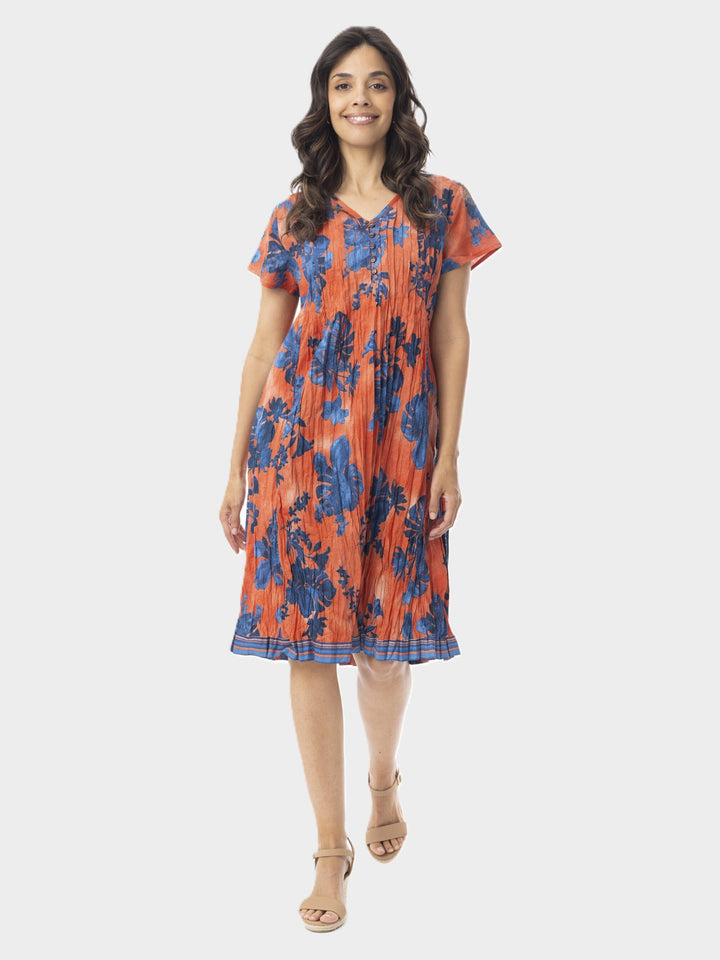 Arashi Print Crinkle Pintuck Dress