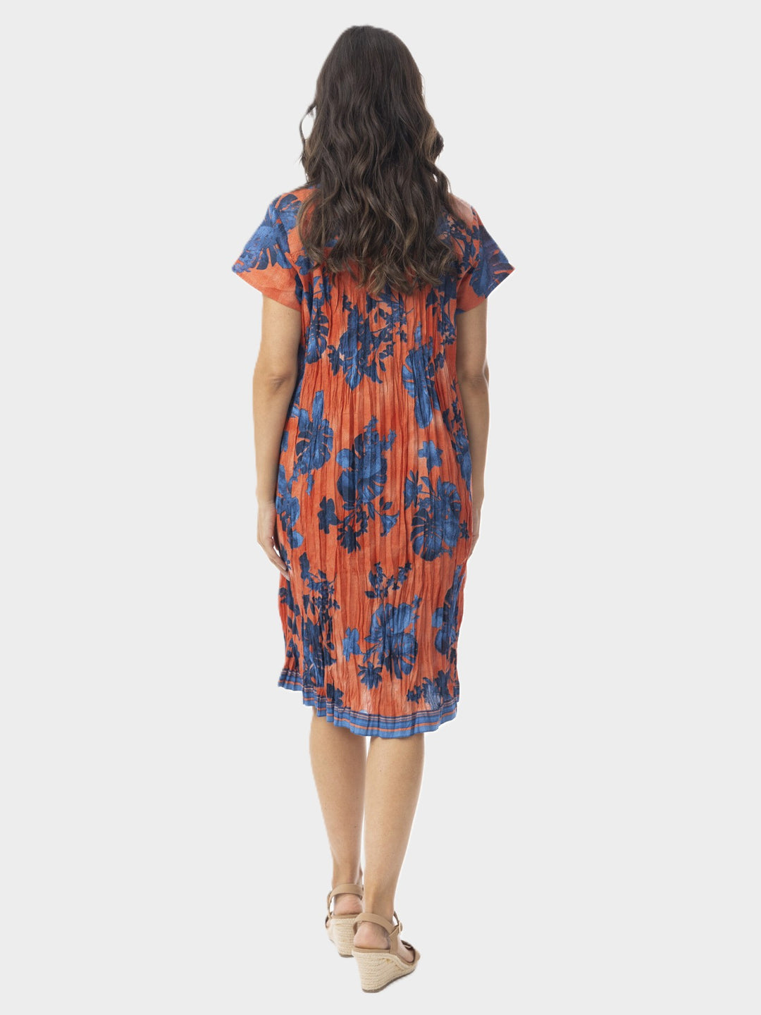 Arashi Print Crinkle Pintuck Dress