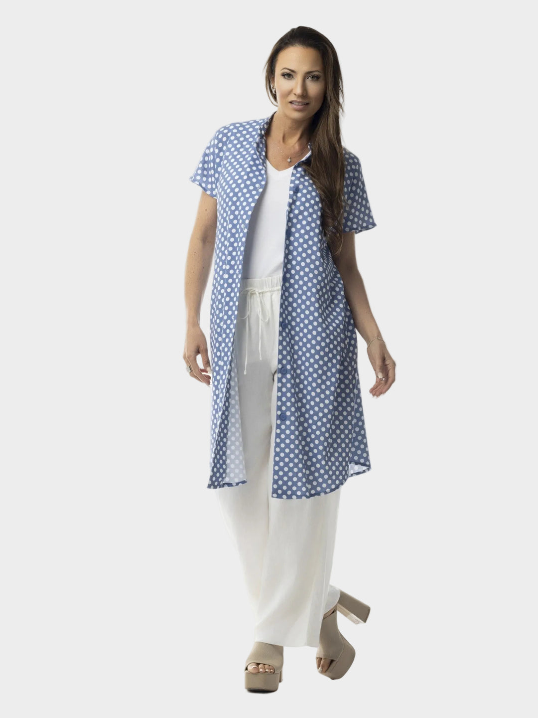 Chambray Dot Print Mandarin Collar Dress