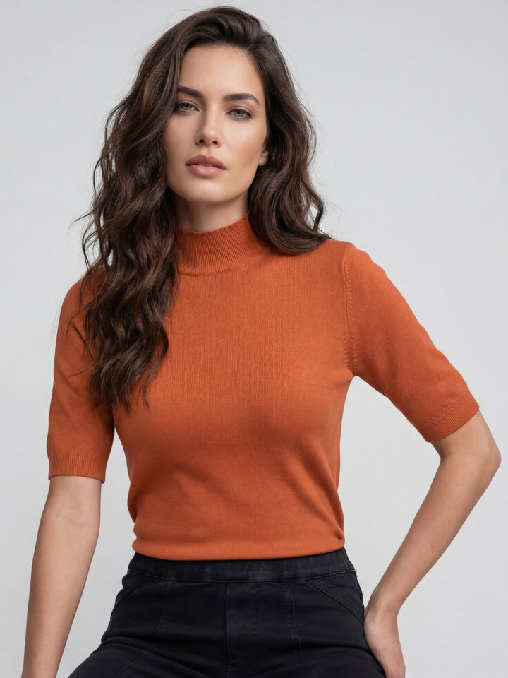Cinnamon Mock Neck Short Sleeve Sweater