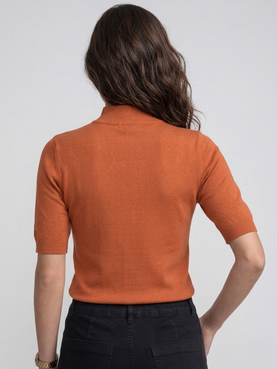 Cinnamon Mock Neck Short Sleeve Sweater