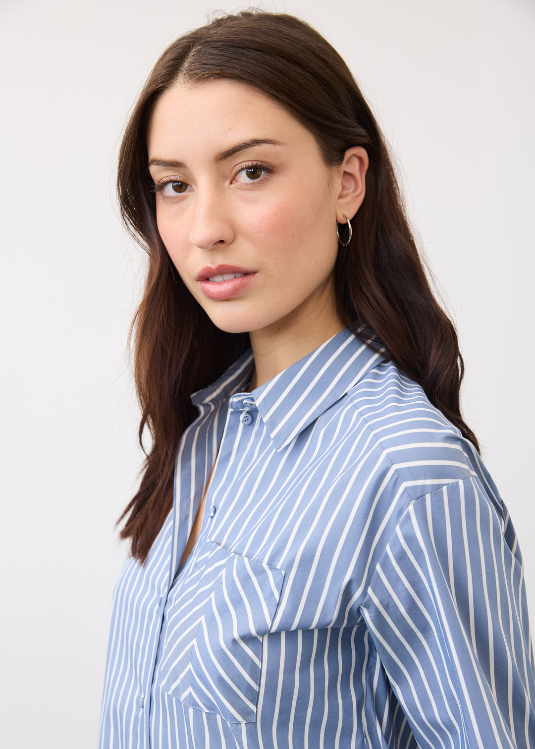 Indigo Stripe Poplin Shirt